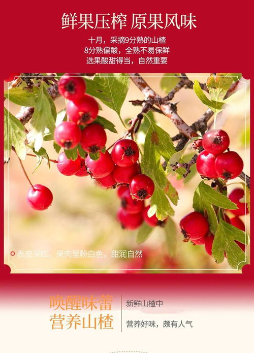 徐州特产 红叶牌桂花山楂条200克 袋山楂条 果脯蜜饯